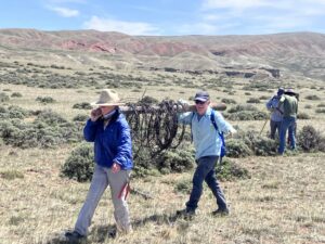 Annual Fence Pull with BLM  June 1, 2024